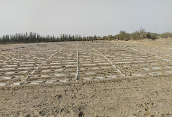 88858cc永利官网(中国)有限公司