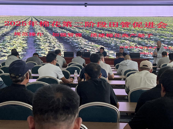 尉犁88858cc永利官网现代农业有限公司召开第二阶段田管推进会 田间观摩强认知 精准施策固丰产基本