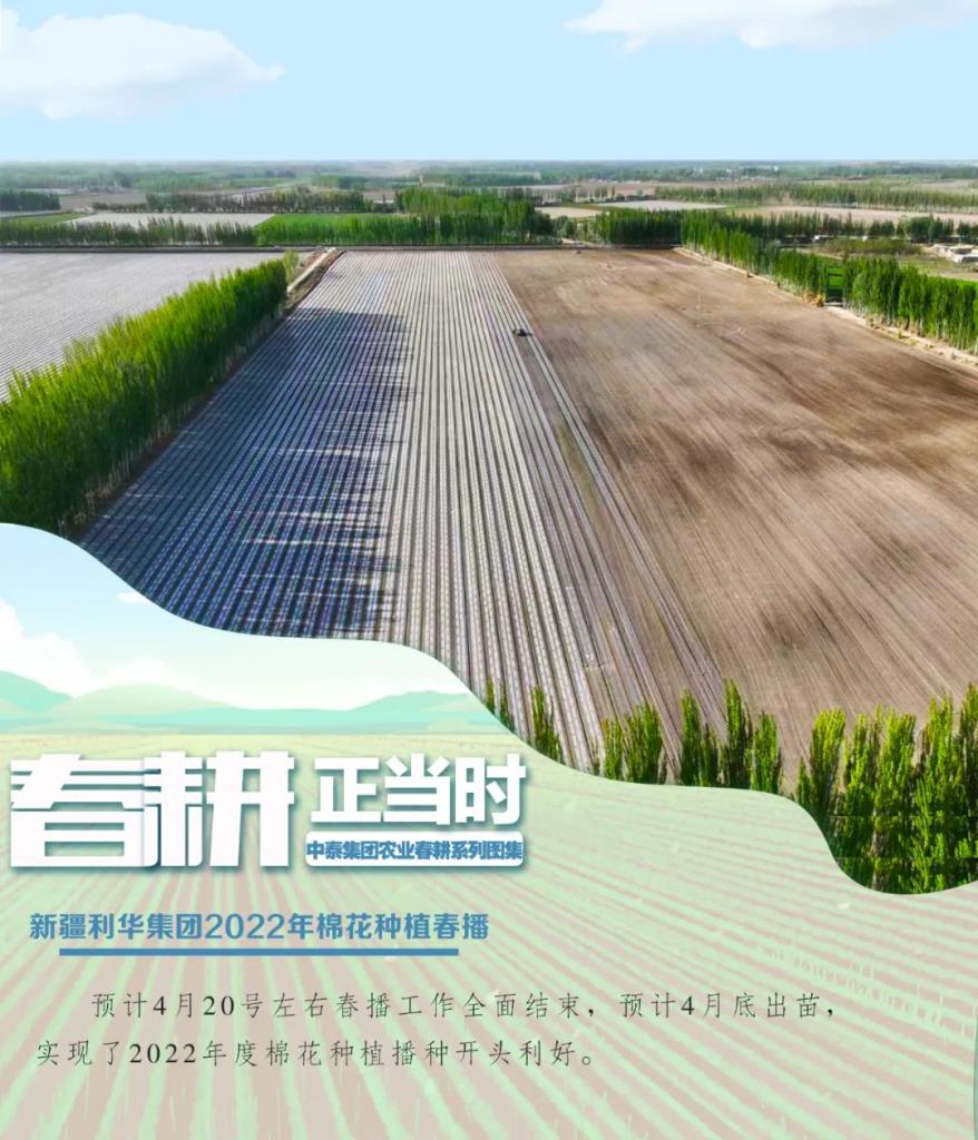 88858cc永利官网(中国)有限公司