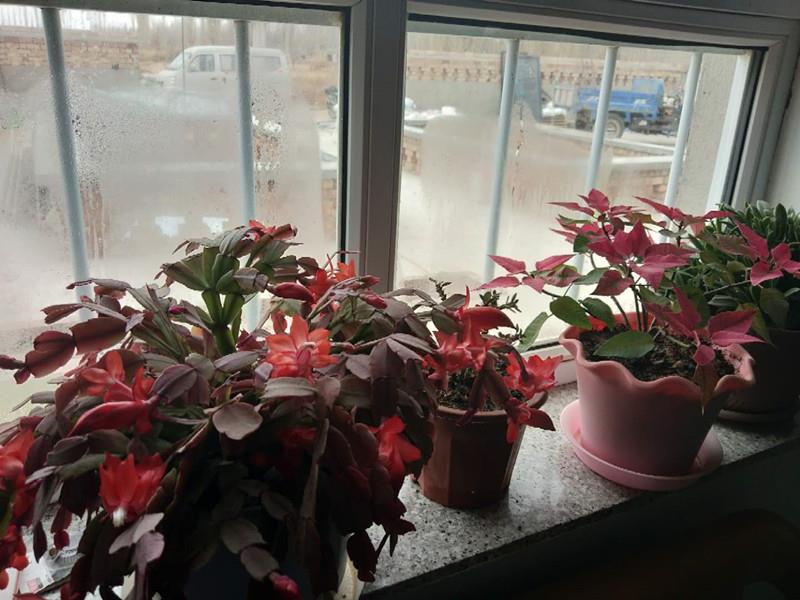 Jianye has a dream of 