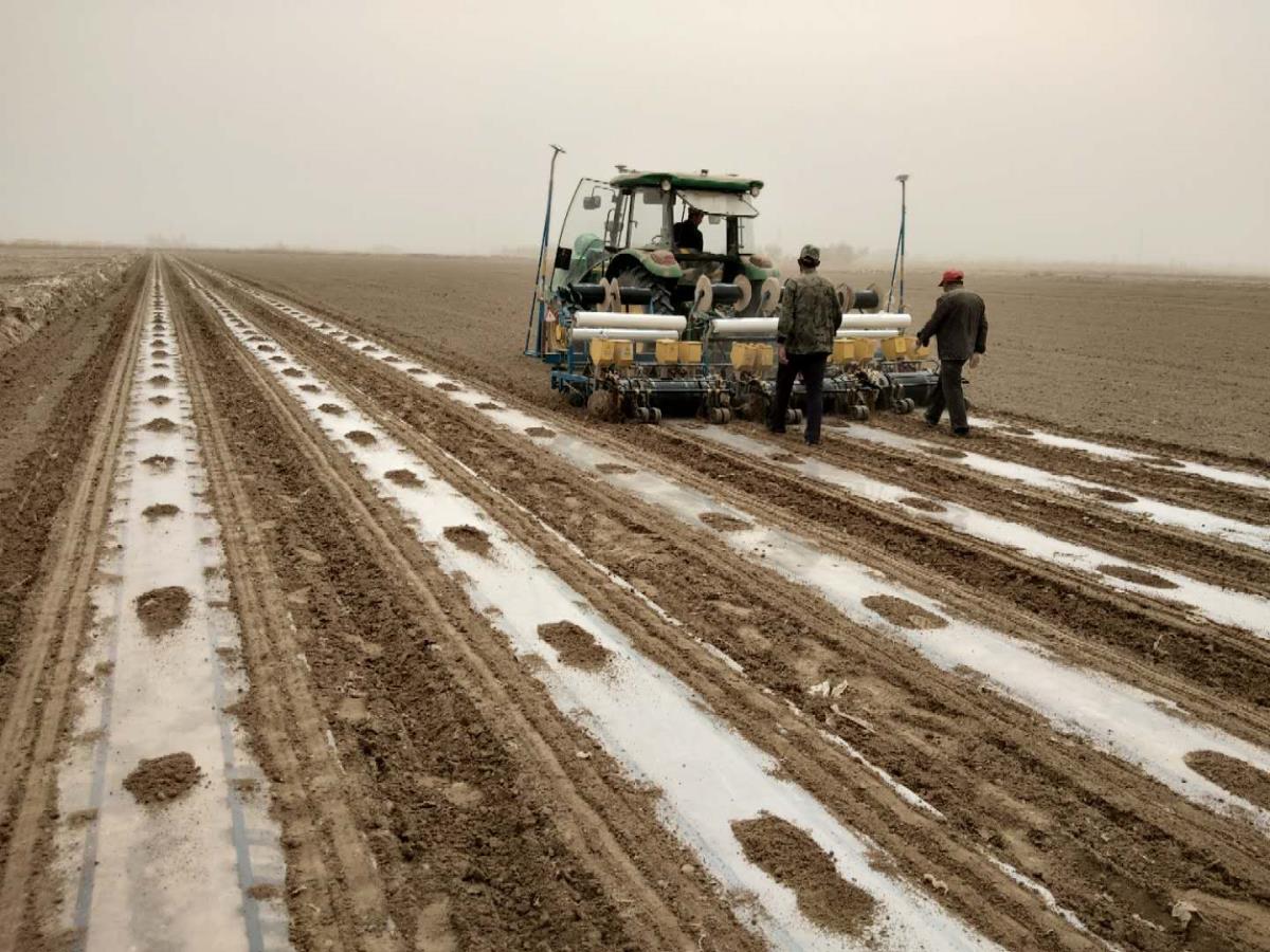 88858cc永利官网(中国)有限公司