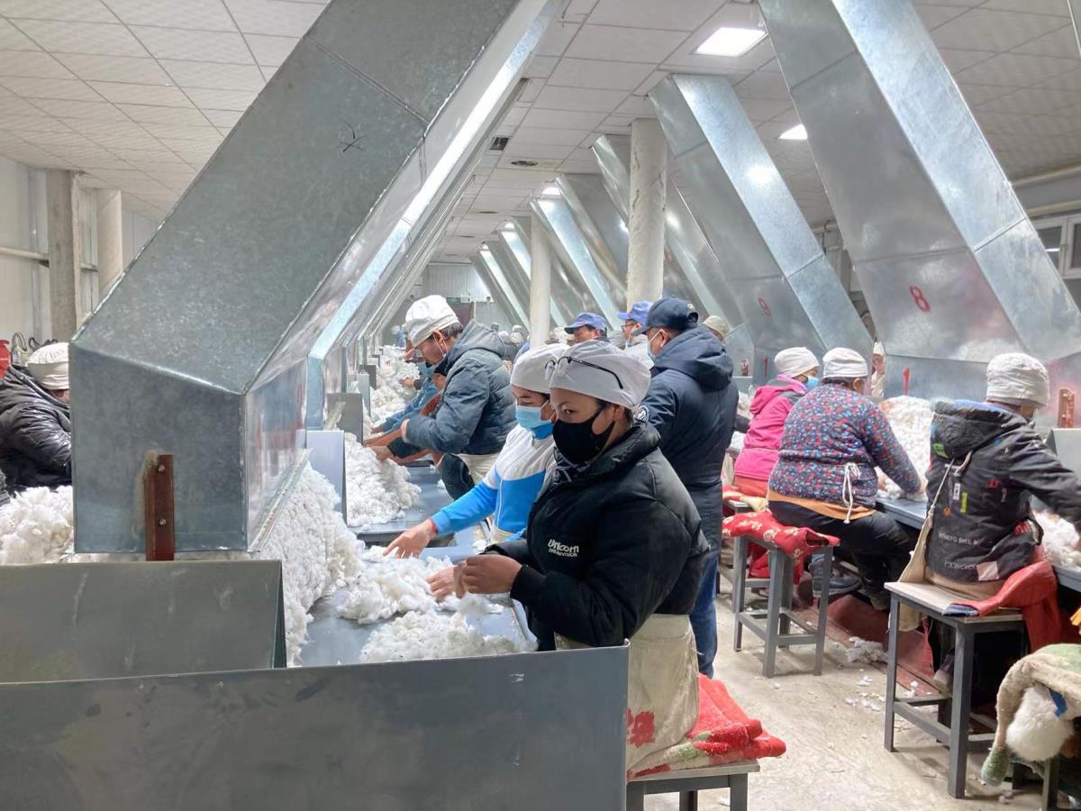 88858cc永利官网(中国)有限公司