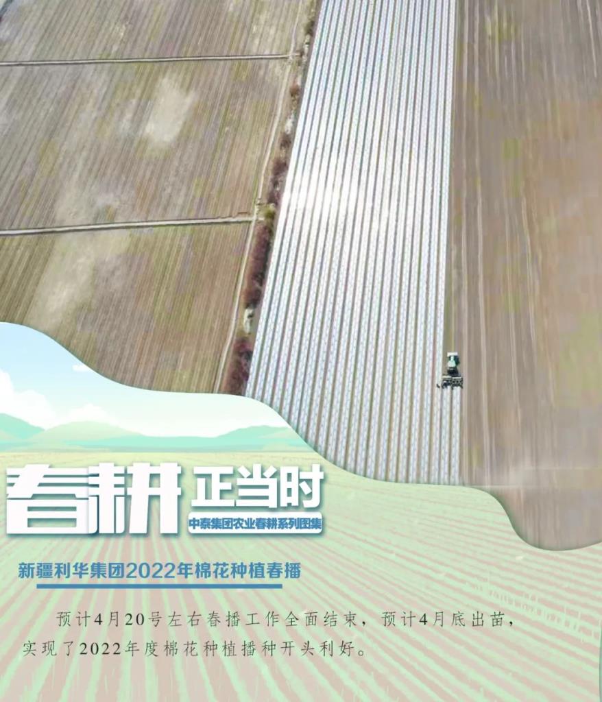 88858cc永利官网(中国)有限公司